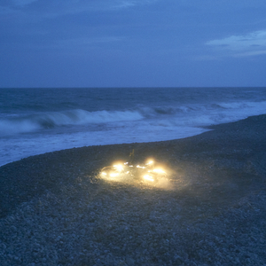 fcc废柴2网站入口
