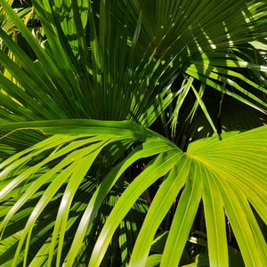 fcc废柴2网站入口
